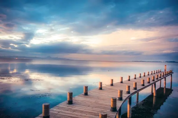 大卫秀门票酒店攻略